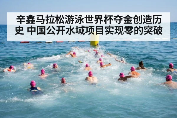 辛鑫马拉松游泳世界杯夺金创造历史 中国公开水域项目实现零的突破